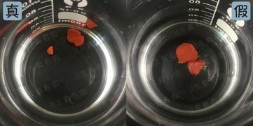 这个秋冬最值得购买的mac口红色号