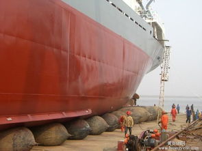 牛下水报价 厂家