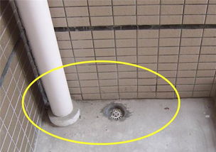 这个楼下邻居太自私 阳台装修堵住地漏下水管,楼上 排水咋办